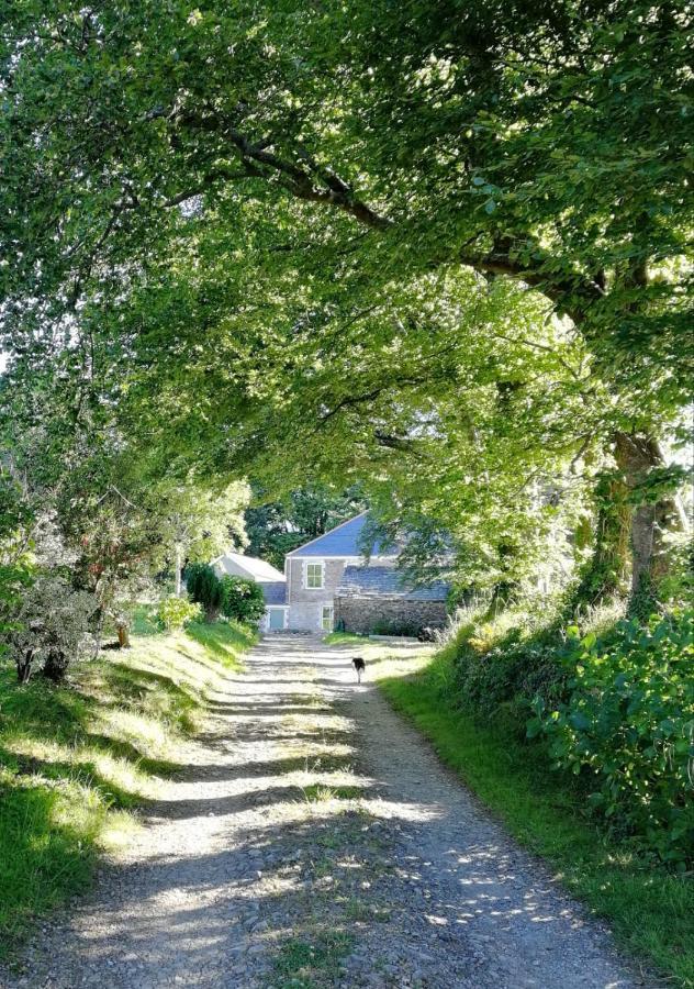 Cornwall, Looe - Magical Pendriffey Pelynt Eksteriør bilde