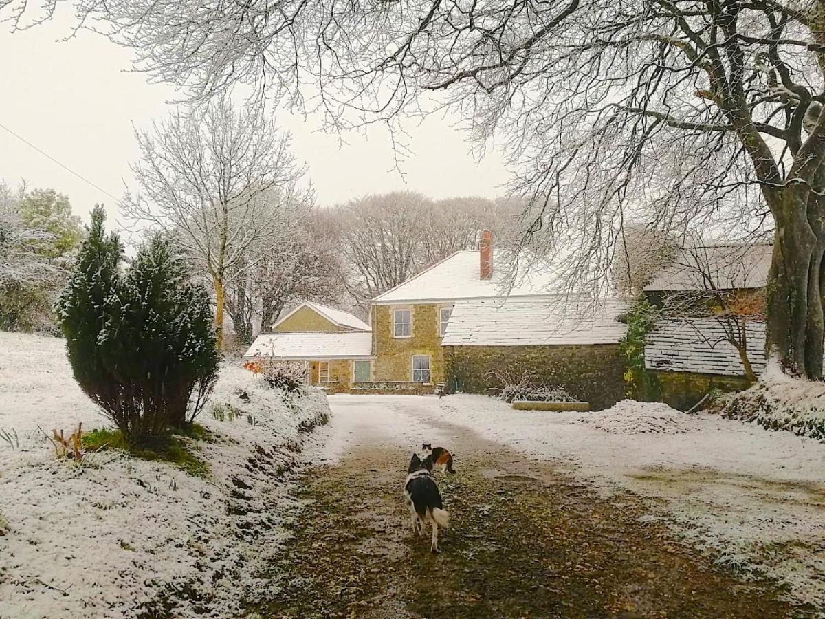 Cornwall, Looe - Magical Pendriffey Pelynt Eksteriør bilde